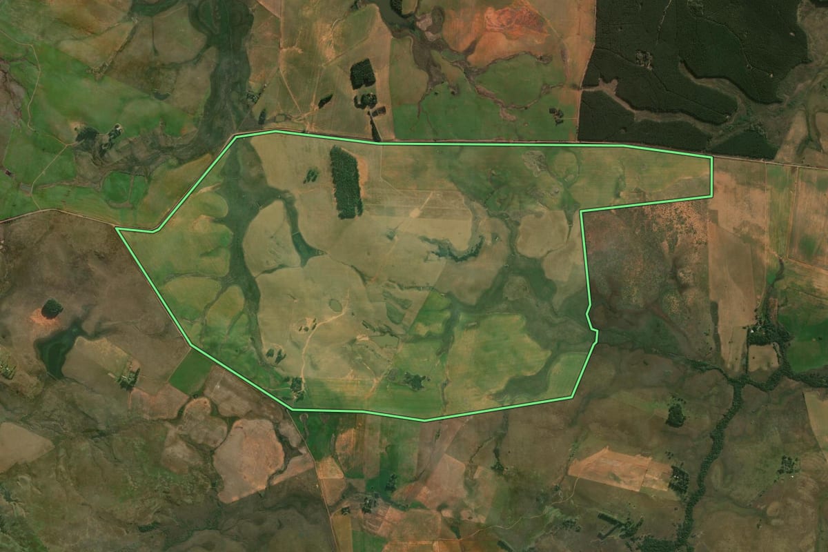 Imagem de satélite do imóvel rural em Alegrete (RS), com o contorno declarado no CAR desenhado por cima.