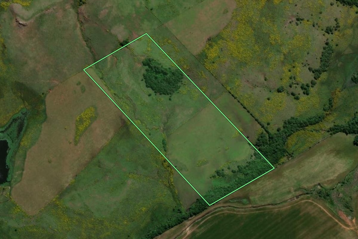 Imagem de satélite do imóvel rural em Alegrete (RS), com o contorno declarado no CAR desenhado por cima.