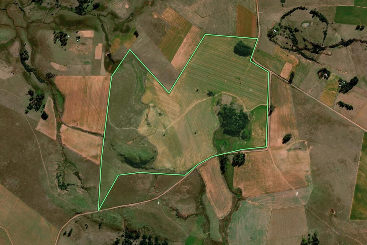 Imagem de satélite do imóvel rural em Alegrete (RS), com o contorno declarado no CAR desenhado por cima.