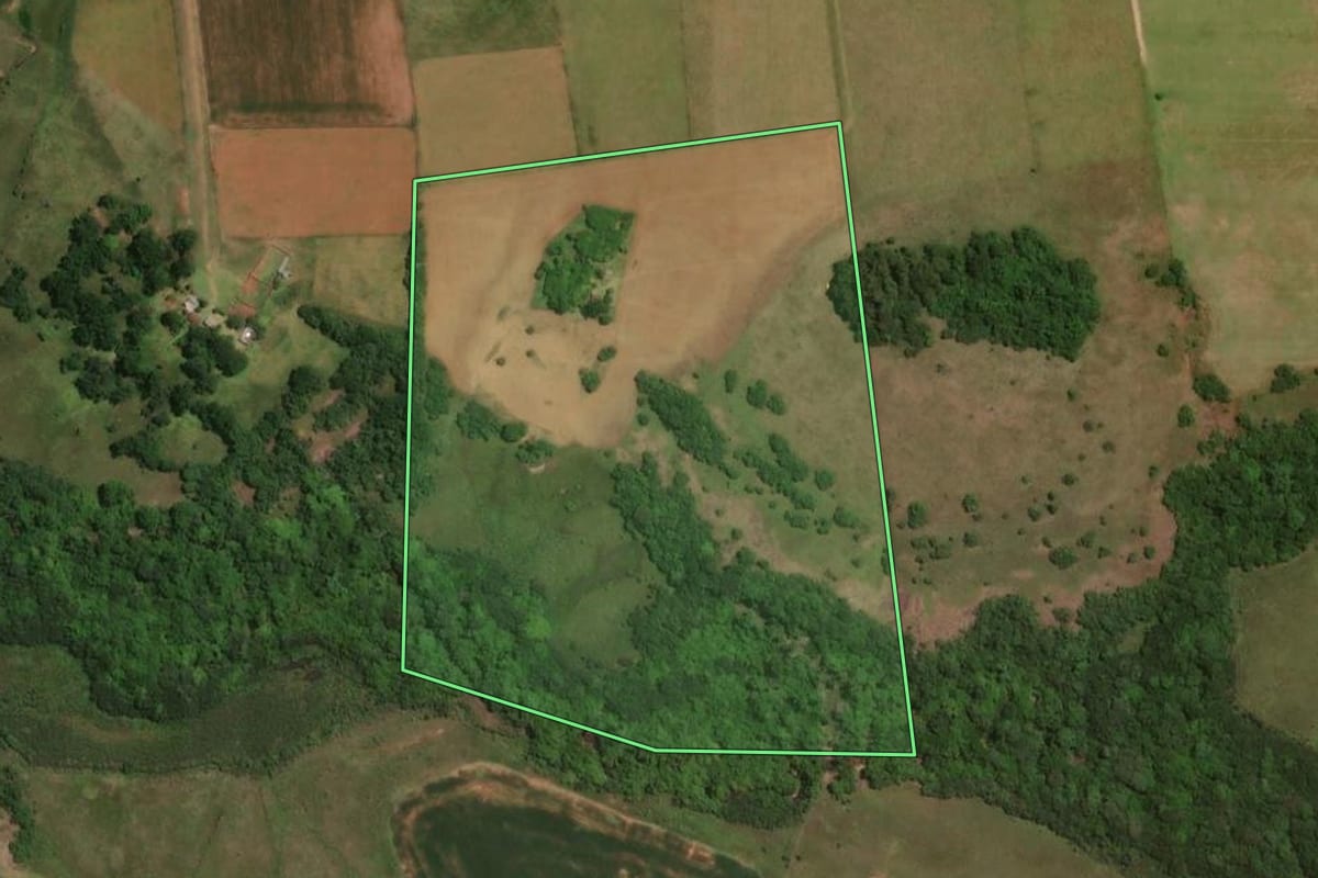 Imagem de satélite do imóvel rural em Alegrete (RS), com o contorno declarado no CAR desenhado por cima.