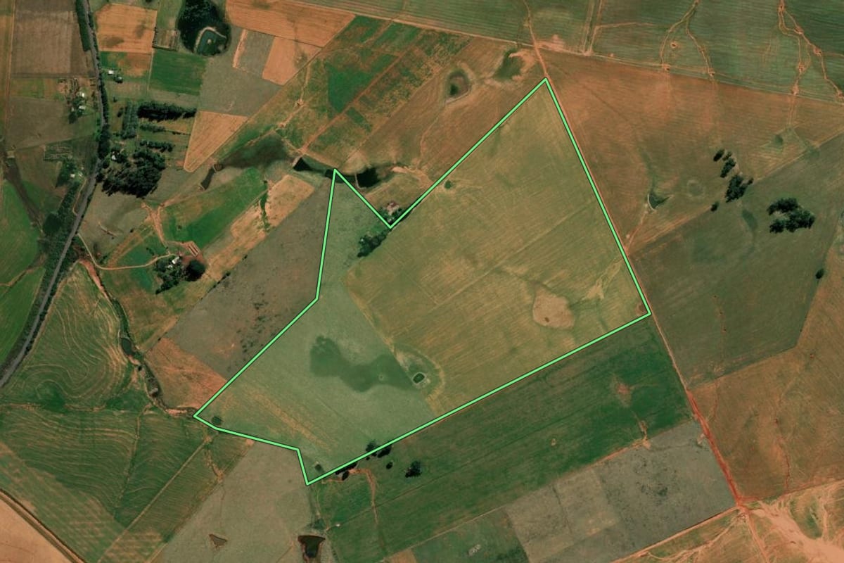 Imagem de satélite do imóvel rural em Alegrete (RS), com o contorno declarado no CAR desenhado por cima.