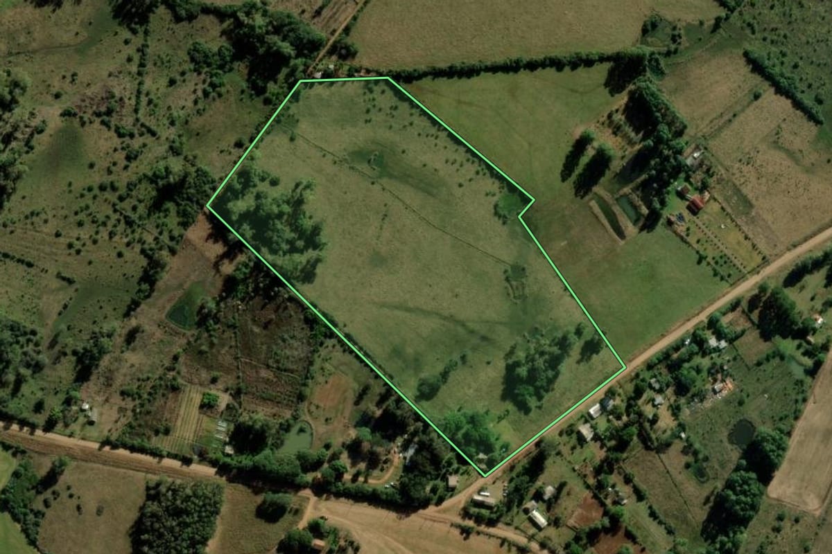 Imagem de satélite do imóvel rural em Alegrete (RS), com o contorno declarado no CAR desenhado por cima.