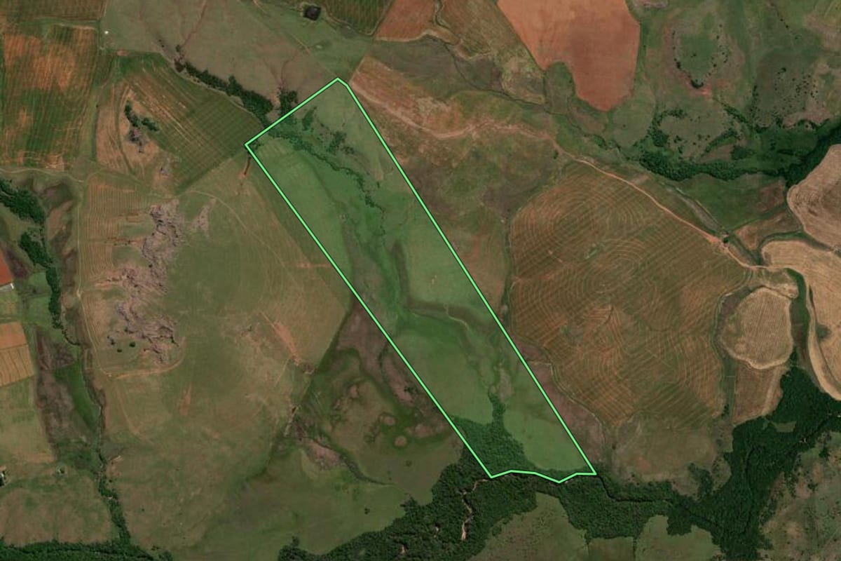 Imagem de satélite do imóvel rural em Alegrete (RS), com o contorno declarado no CAR desenhado por cima.
