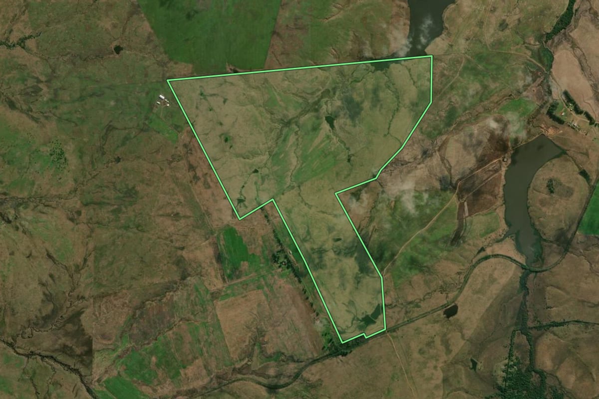 Imagem de satélite do imóvel rural em Alegrete (RS), com o contorno declarado no CAR desenhado por cima.