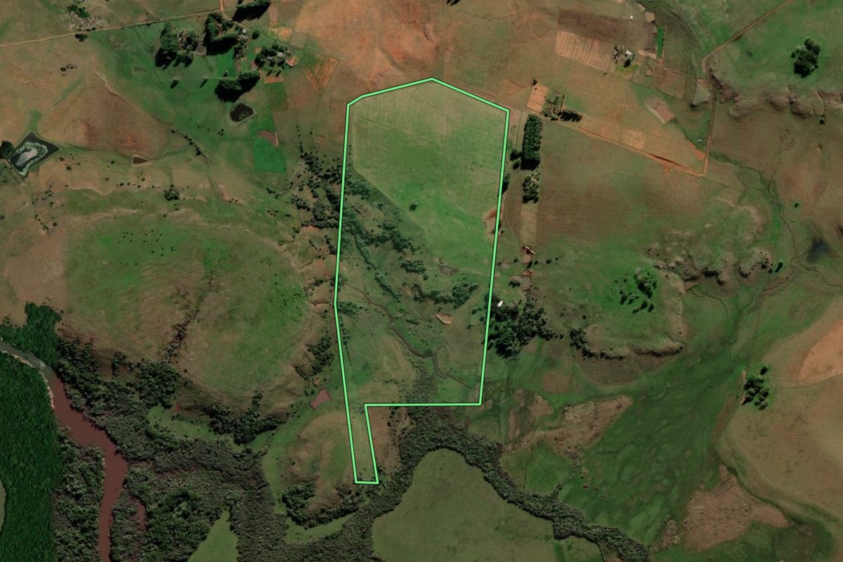 Imagem de satélite do imóvel rural em Alegrete (RS), com o contorno declarado no CAR desenhado por cima.