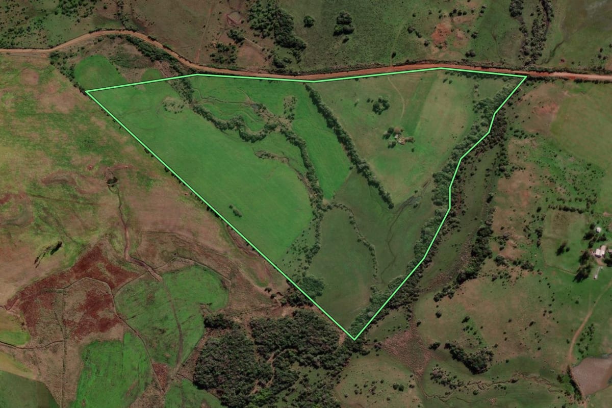 Imagem de satélite do imóvel rural em Alegrete (RS), com o contorno declarado no CAR desenhado por cima.