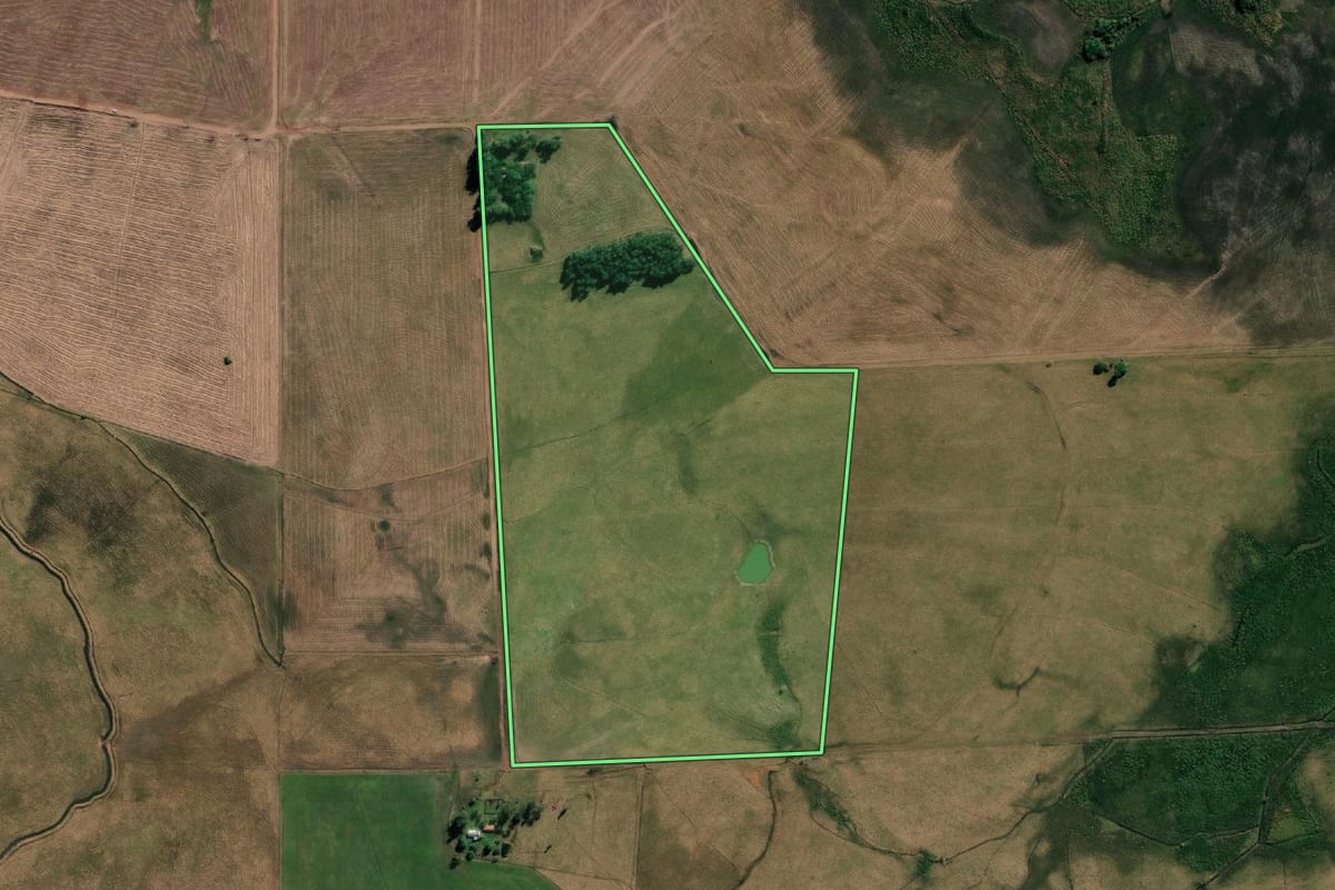Imagem de satélite do imóvel rural em Alegrete (RS), com o contorno declarado no CAR desenhado por cima.