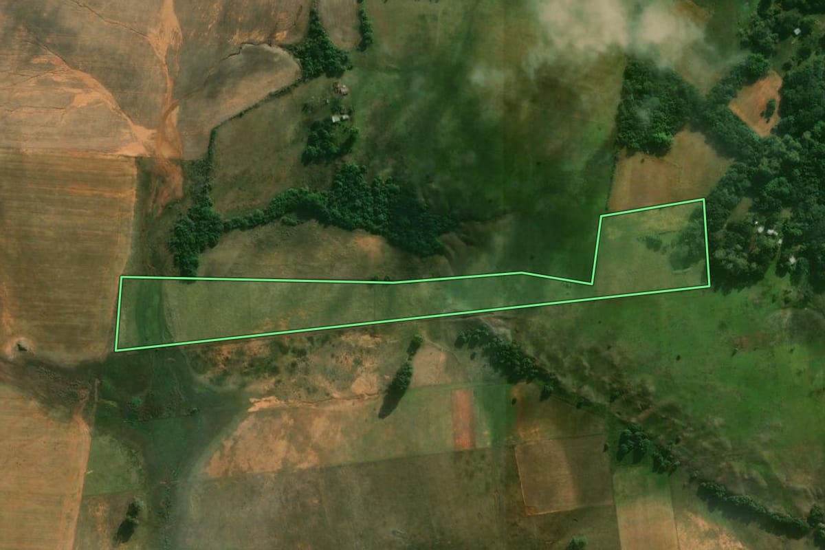 Imagem de satélite do imóvel rural em Alegrete (RS), com o contorno declarado no CAR desenhado por cima.