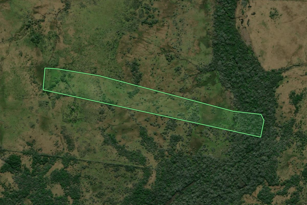 Imagem de satélite do imóvel rural em Alegrete (RS), com o contorno declarado no CAR desenhado por cima.