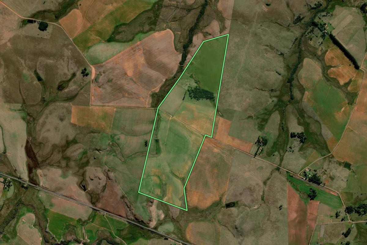 Imagem de satélite do imóvel rural em Alegrete (RS), com o contorno declarado no CAR desenhado por cima.