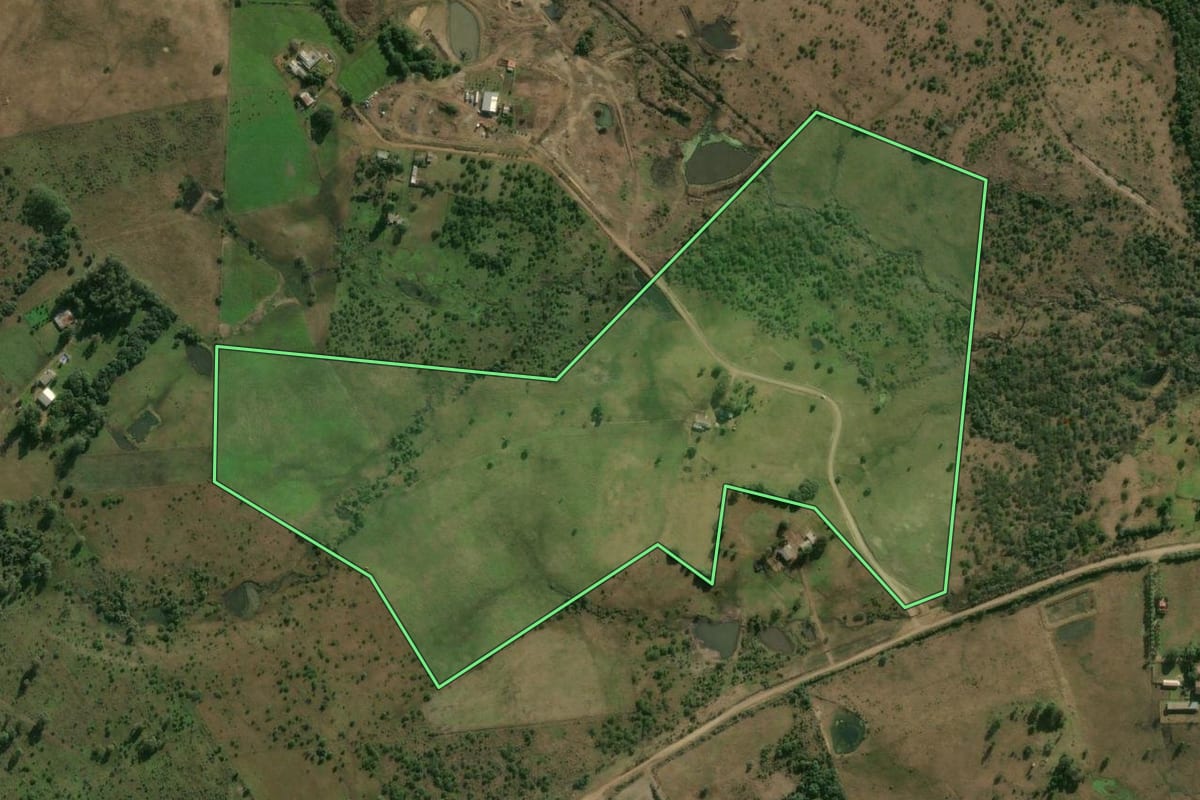 Imagem de satélite do imóvel rural em Alegrete (RS), com o contorno declarado no CAR desenhado por cima.