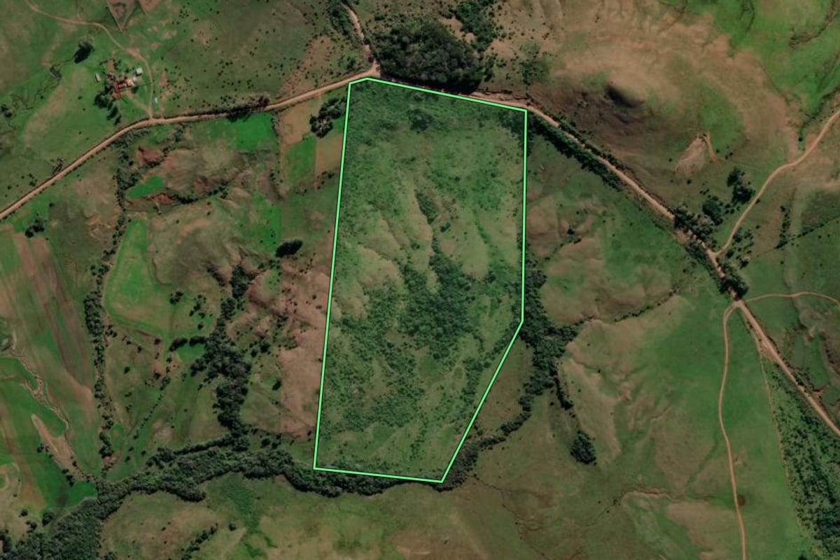 Imagem de satélite do imóvel rural em Alegrete (RS), com o contorno declarado no CAR desenhado por cima.