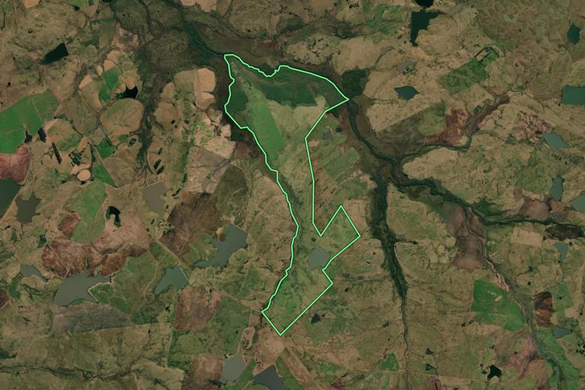 Imagem de satélite do imóvel rural em Alegrete (RS), com o contorno declarado no CAR desenhado por cima.