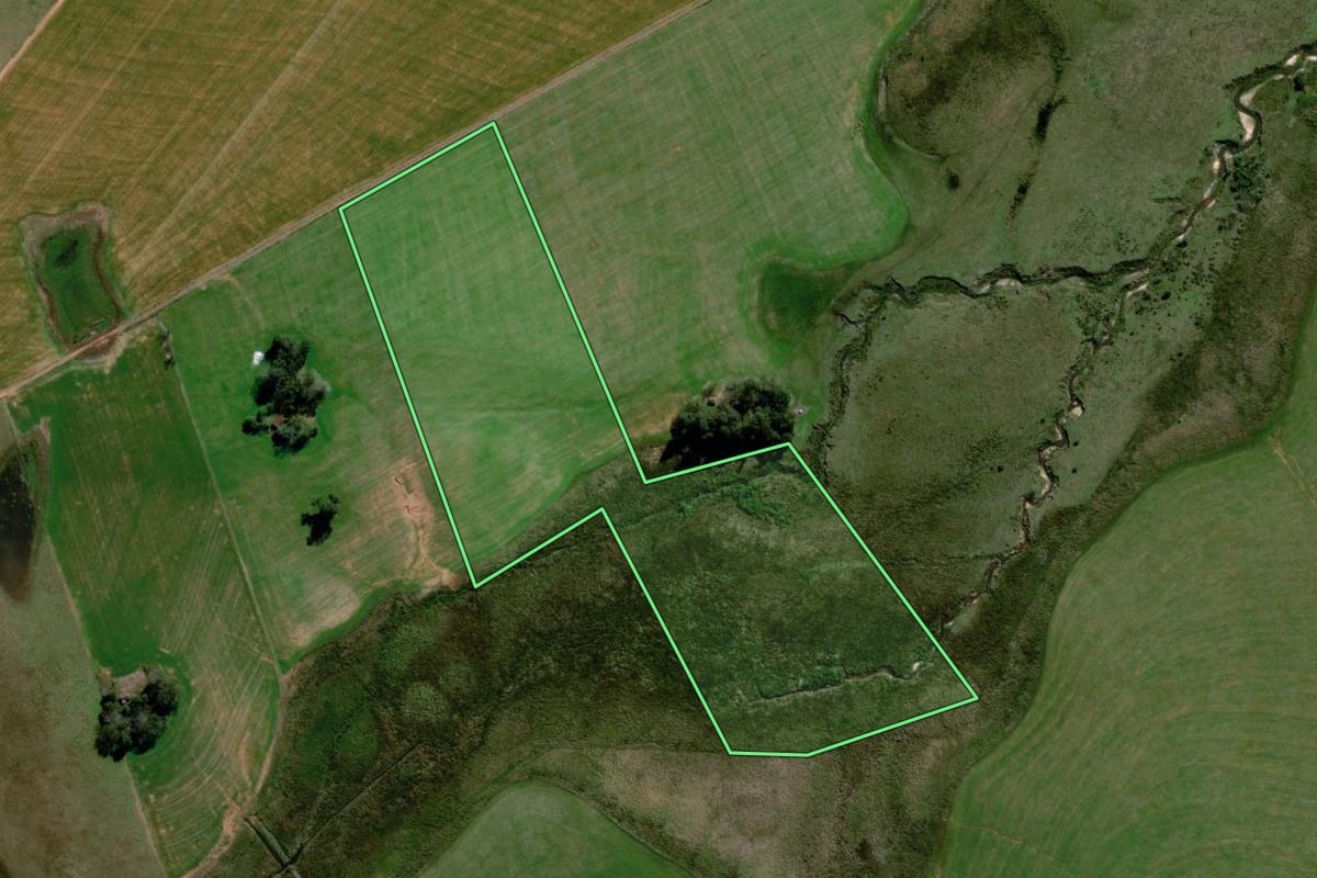 Imagem de satélite do imóvel rural em Alegrete (RS), com o contorno declarado no CAR desenhado por cima.