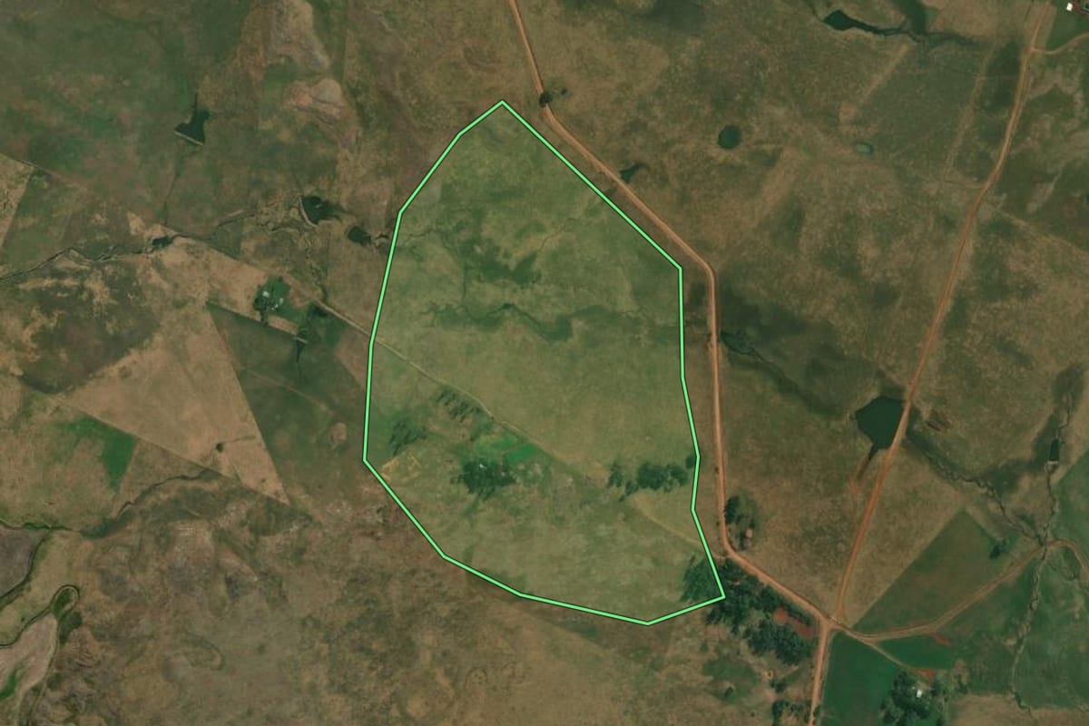 Imagem de satélite do imóvel rural em Alegrete (RS), com o contorno declarado no CAR desenhado por cima.