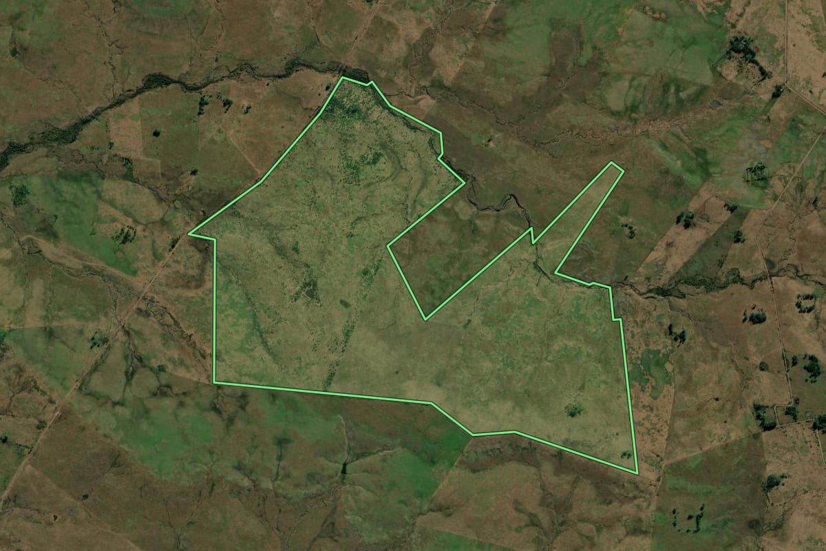 Imagem de satélite do imóvel rural em Alegrete (RS), com o contorno declarado no CAR desenhado por cima.