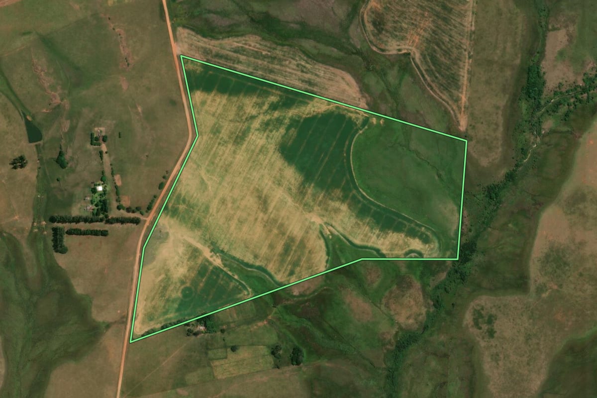 Imagem de satélite do imóvel rural em Alegrete (RS), com o contorno declarado no CAR desenhado por cima.