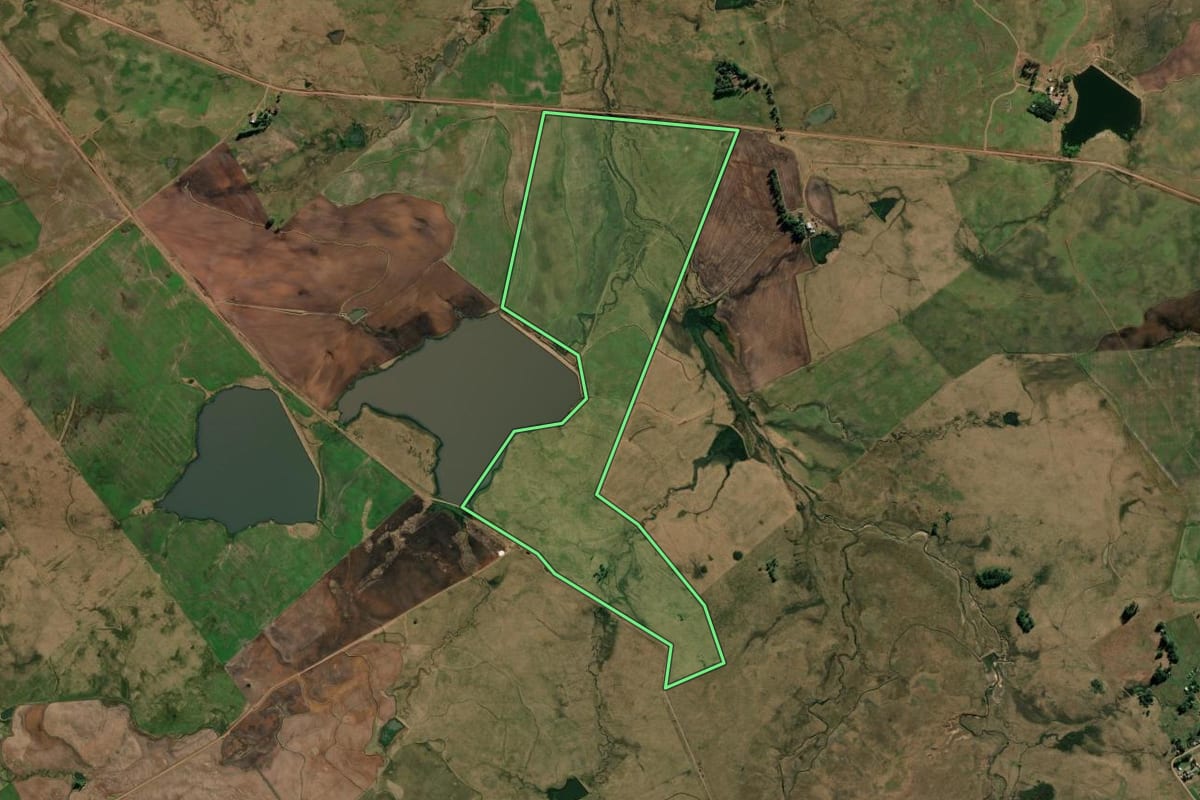 Imagem de satélite do imóvel rural em Alegrete (RS), com o contorno declarado no CAR desenhado por cima.