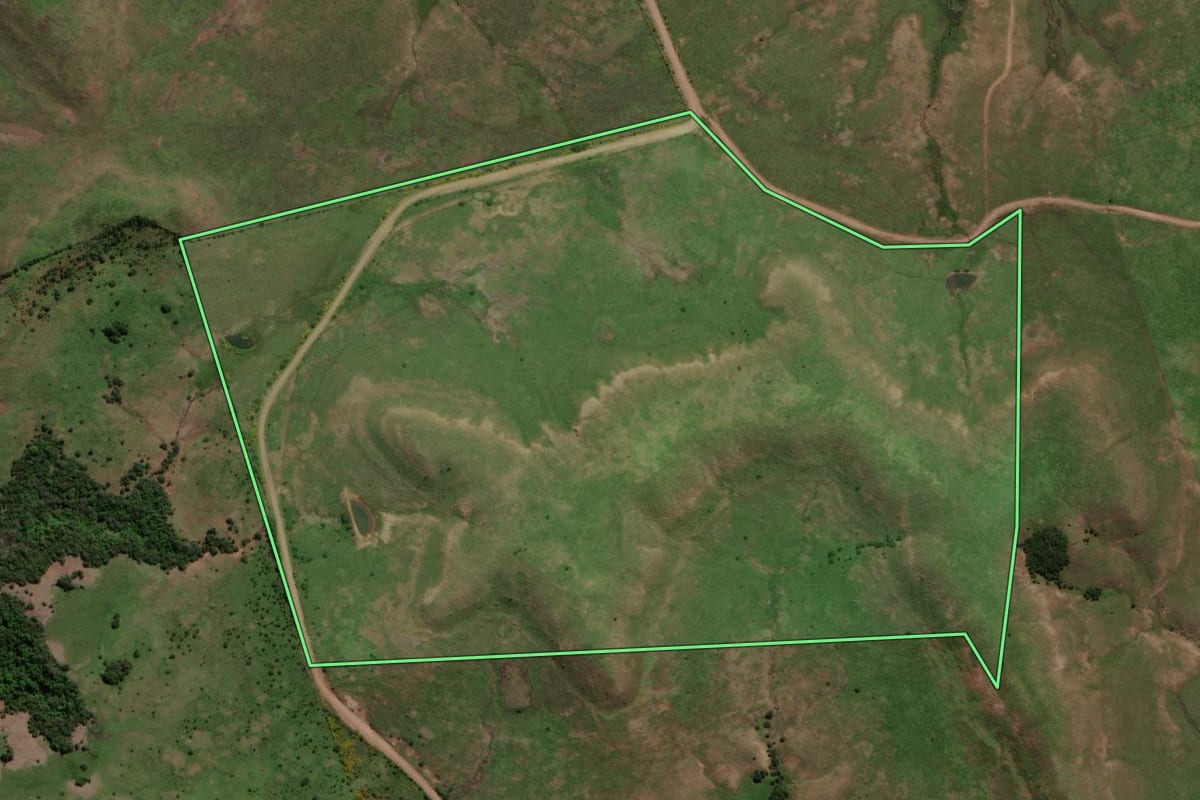 Imagem de satélite do imóvel rural em Alegrete (RS), com o contorno declarado no CAR desenhado por cima.