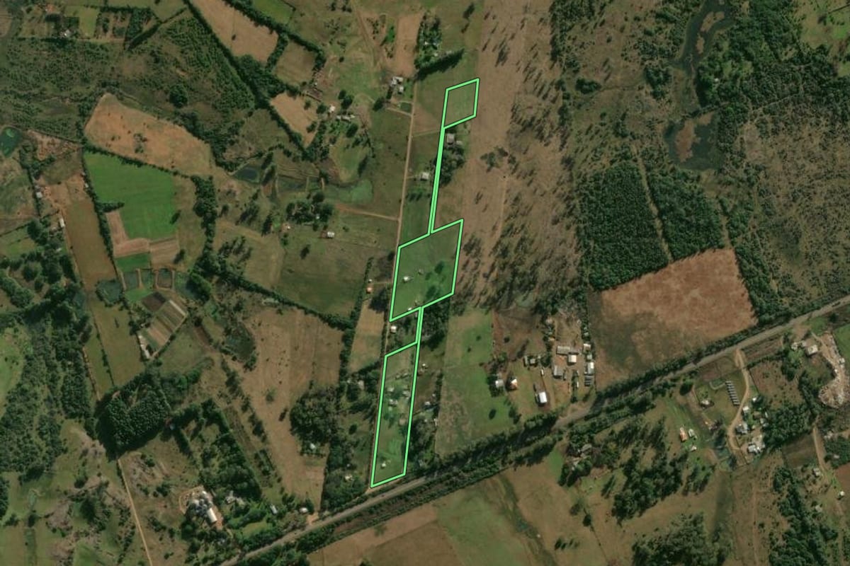 Imagem de satélite do imóvel rural em Alegrete (RS), com o contorno declarado no CAR desenhado por cima.