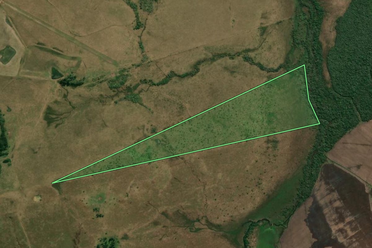 Imagem de satélite do imóvel rural em Alegrete (RS), com o contorno declarado no CAR desenhado por cima.