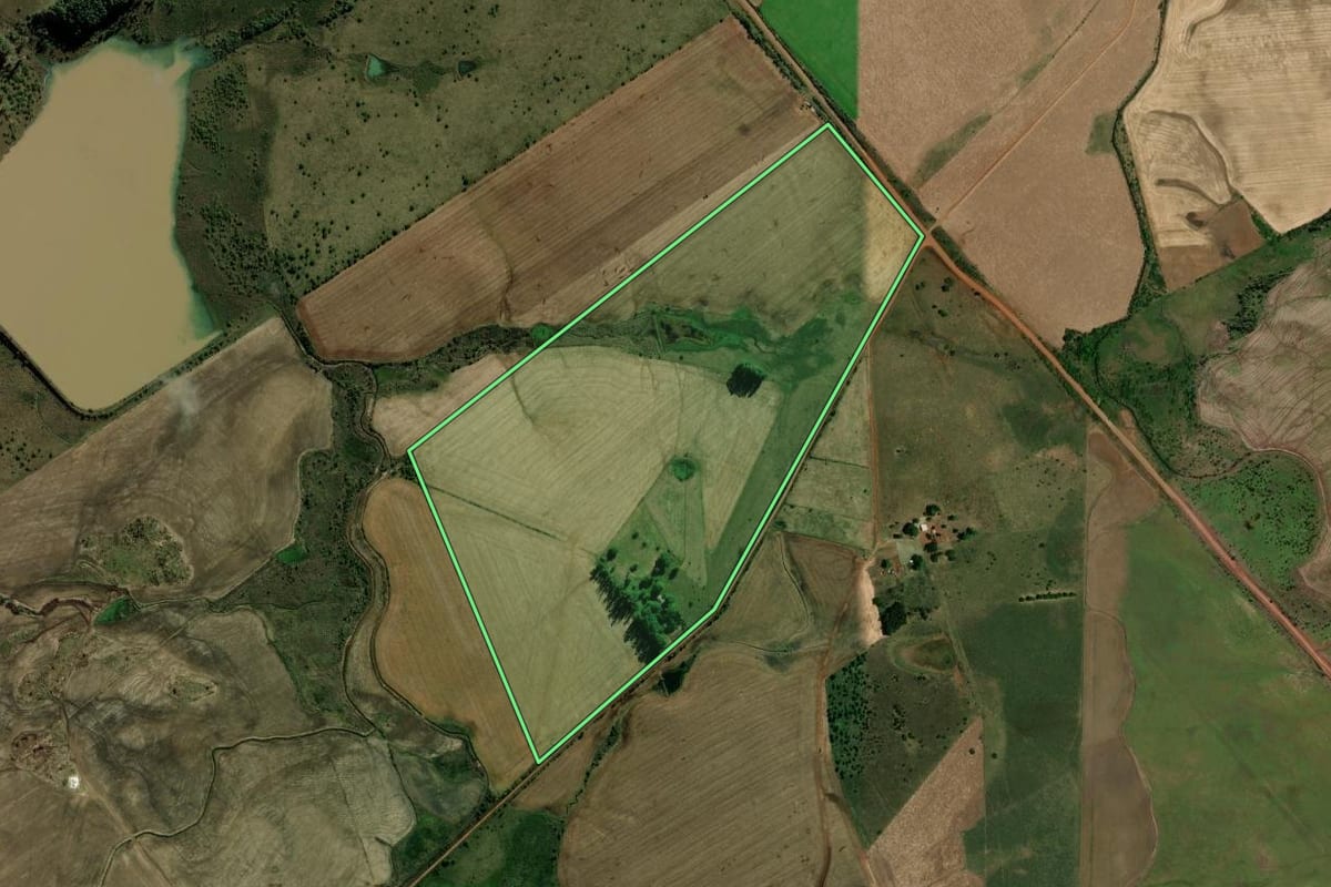 Imagem de satélite do imóvel rural em Alegrete (RS), com o contorno declarado no CAR desenhado por cima.