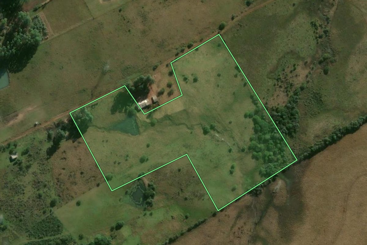 Imagem de satélite do imóvel rural em Alegrete (RS), com o contorno declarado no CAR desenhado por cima.