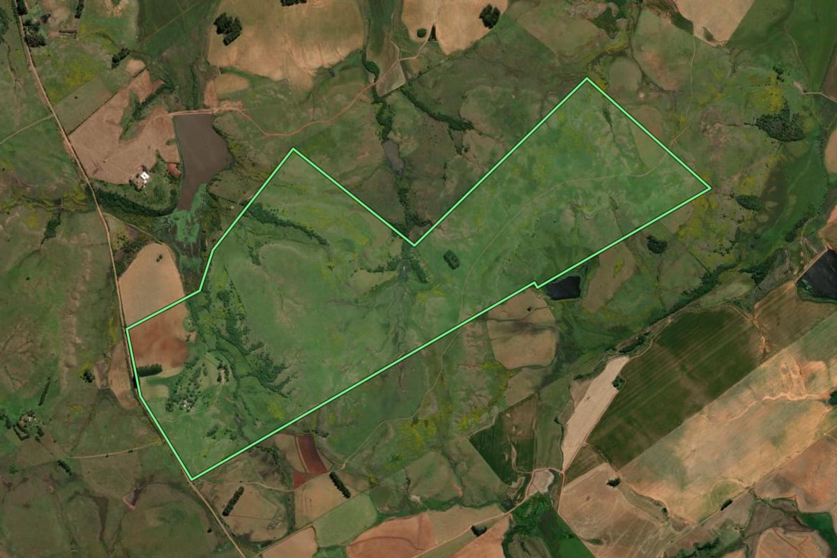Imagem de satélite do imóvel rural em Alegrete (RS), com o contorno declarado no CAR desenhado por cima.
