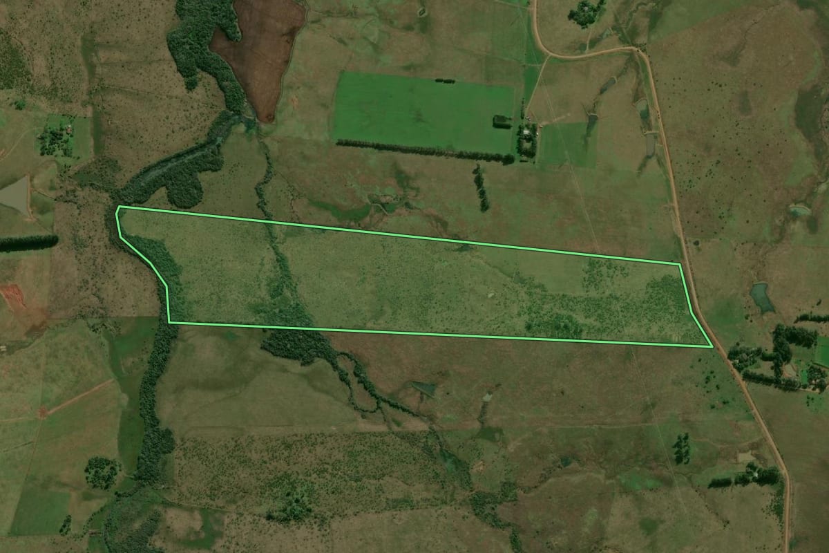 Imagem de satélite do imóvel rural em Alegrete (RS), com o contorno declarado no CAR desenhado por cima.