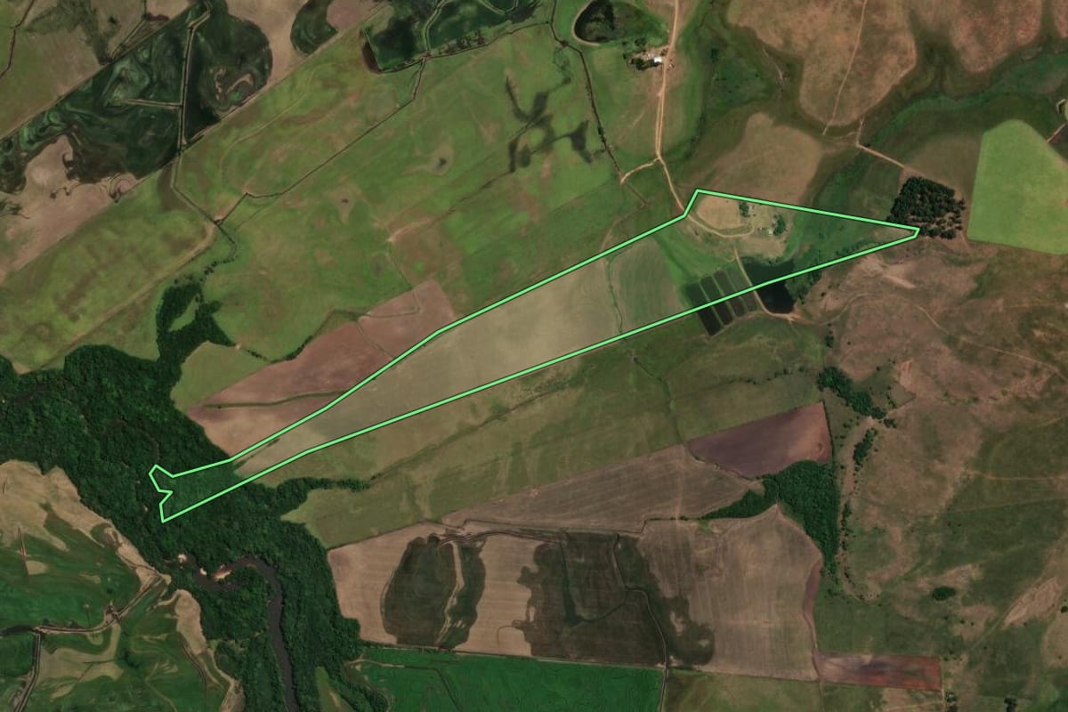 Imagem de satélite do imóvel rural em Alegrete (RS), com o contorno declarado no CAR desenhado por cima.