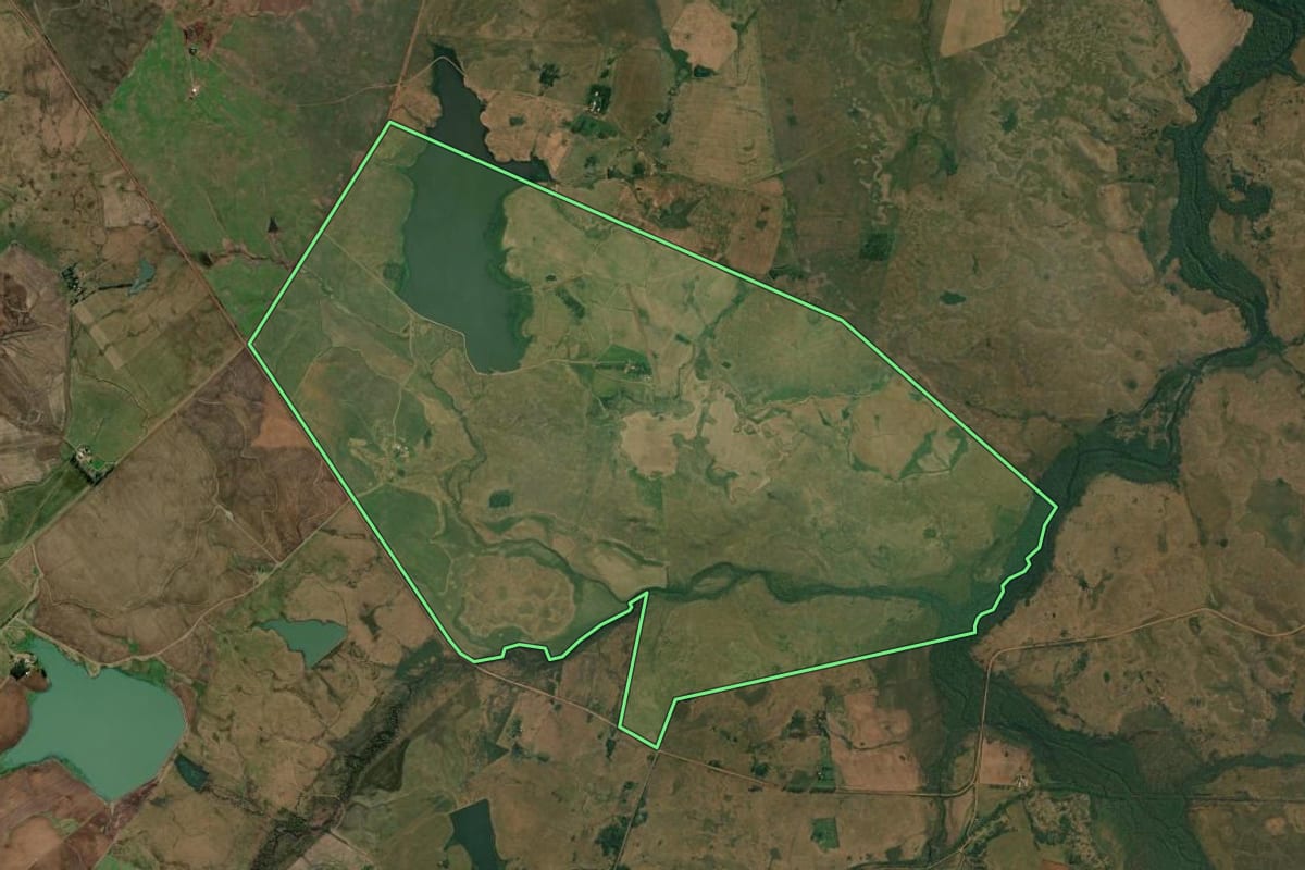 Imagem de satélite do imóvel rural em Alegrete (RS), com o contorno declarado no CAR desenhado por cima.