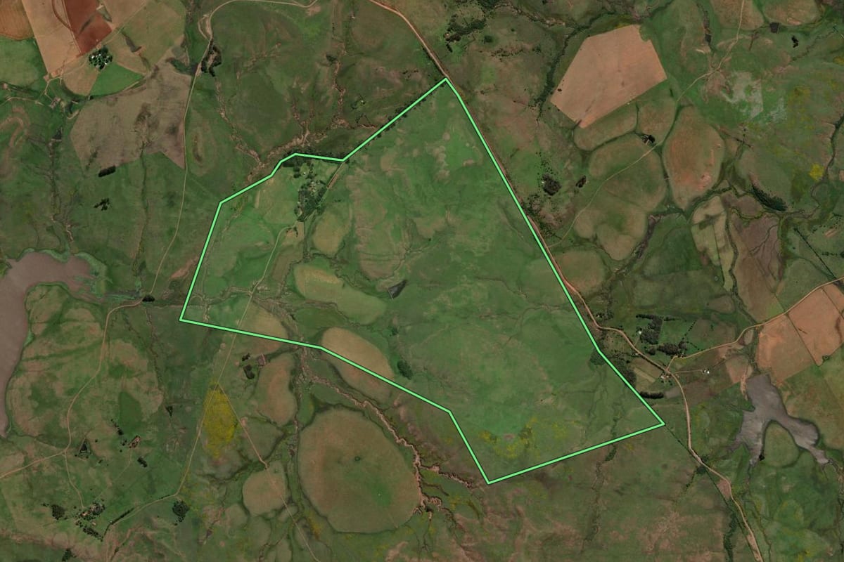 Imagem de satélite do imóvel rural em Alegrete (RS), com o contorno declarado no CAR desenhado por cima.