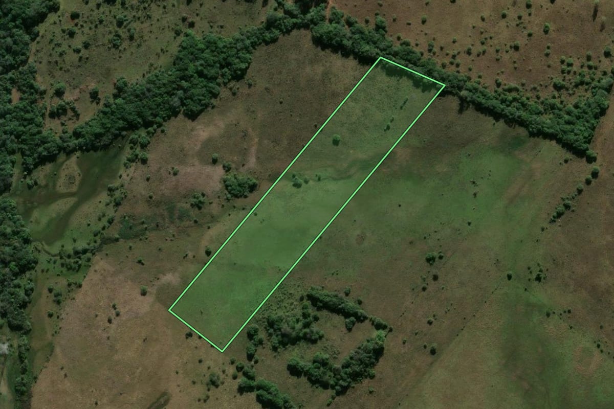 Imagem de satélite do imóvel rural em Alegrete (RS), com o contorno declarado no CAR desenhado por cima.