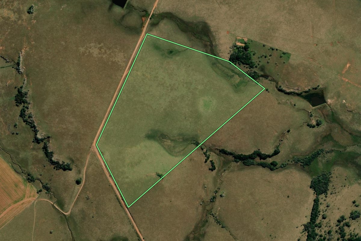 Imagem de satélite do imóvel rural em Alegrete (RS), com o contorno declarado no CAR desenhado por cima.