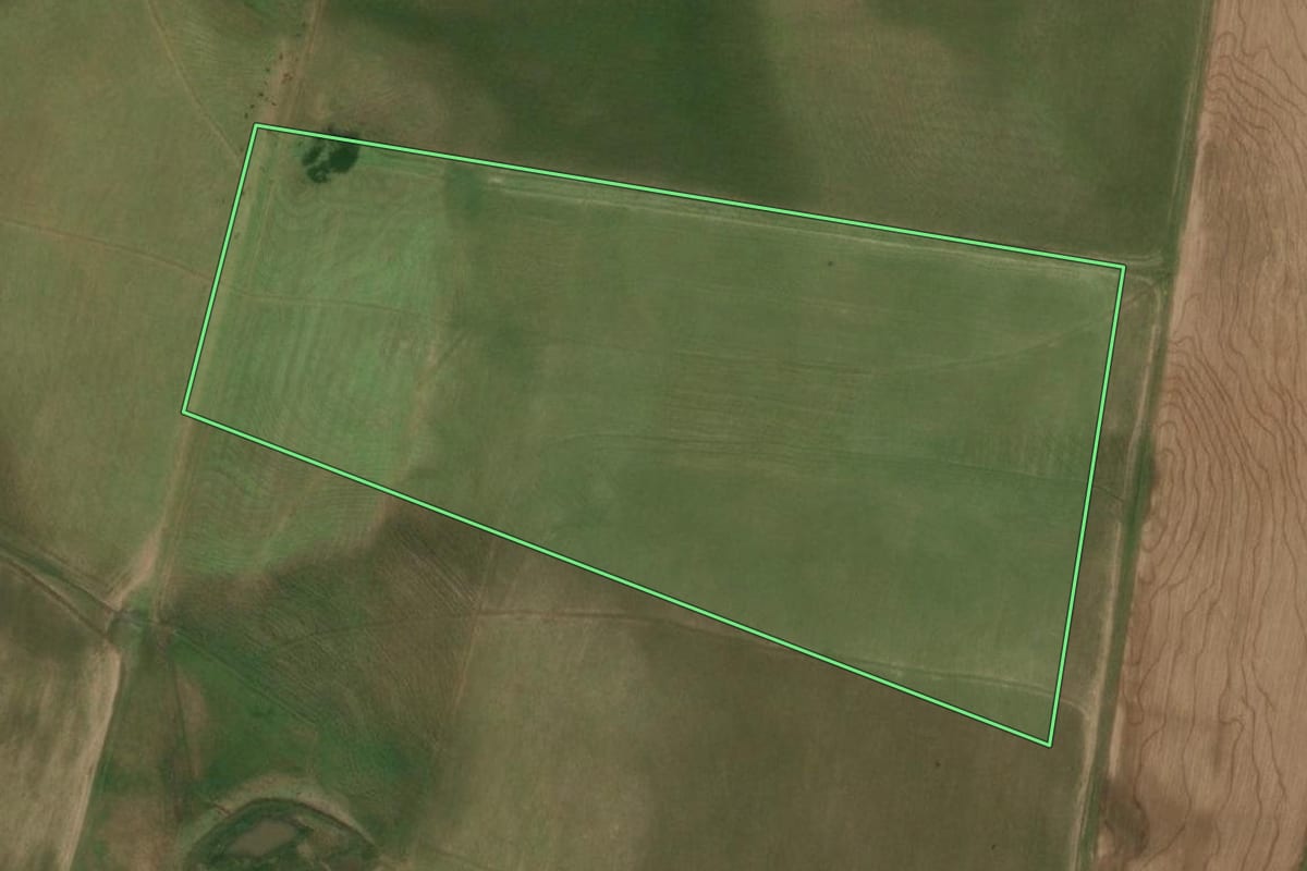 Imagem de satélite do imóvel rural em Alegrete (RS), com o contorno declarado no CAR desenhado por cima.
