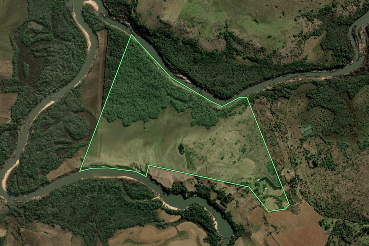 Imagem de satélite do imóvel rural em Alegrete (RS), com o contorno declarado no CAR desenhado por cima.