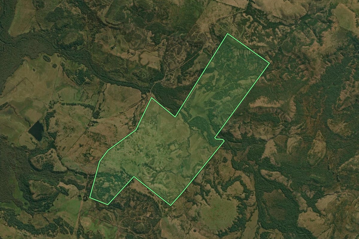 Imagem de satélite do imóvel rural em Alegrete (RS), com o contorno declarado no CAR desenhado por cima.