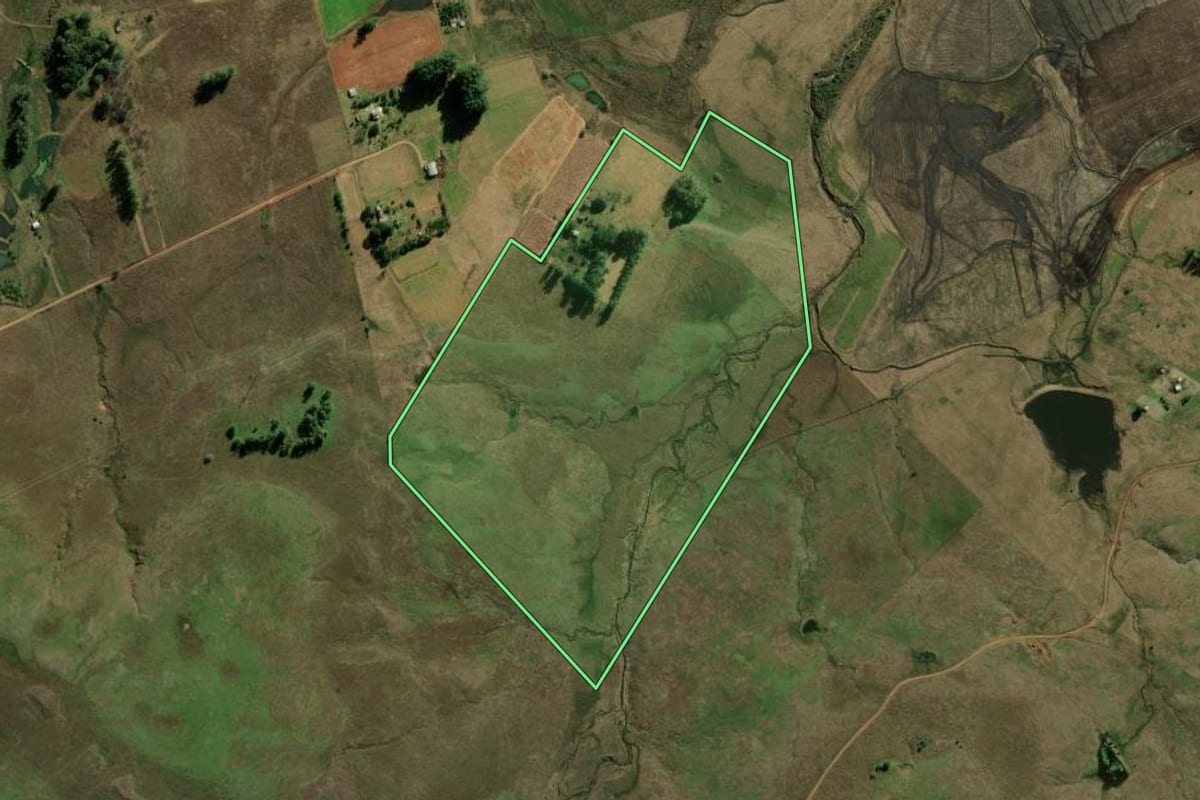 Imagem de satélite do imóvel rural em Alegrete (RS), com o contorno declarado no CAR desenhado por cima.