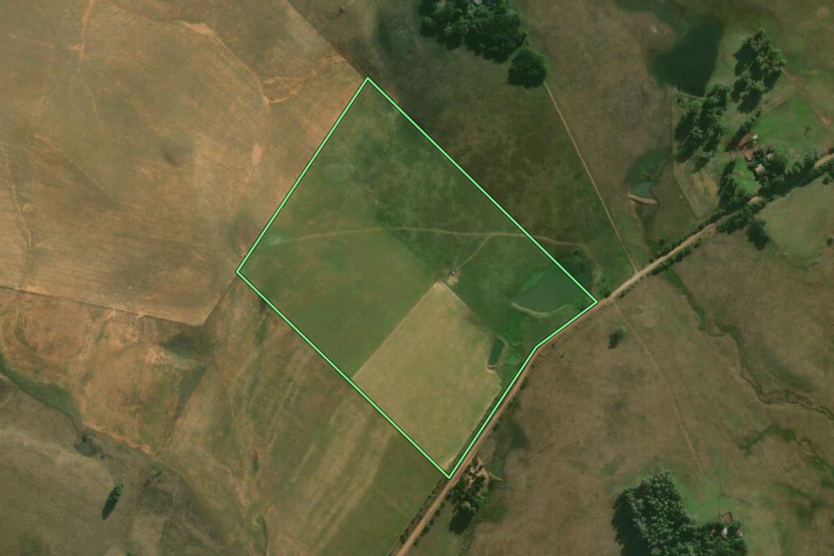 Imagem de satélite do imóvel rural em Alegrete (RS), com o contorno declarado no CAR desenhado por cima.