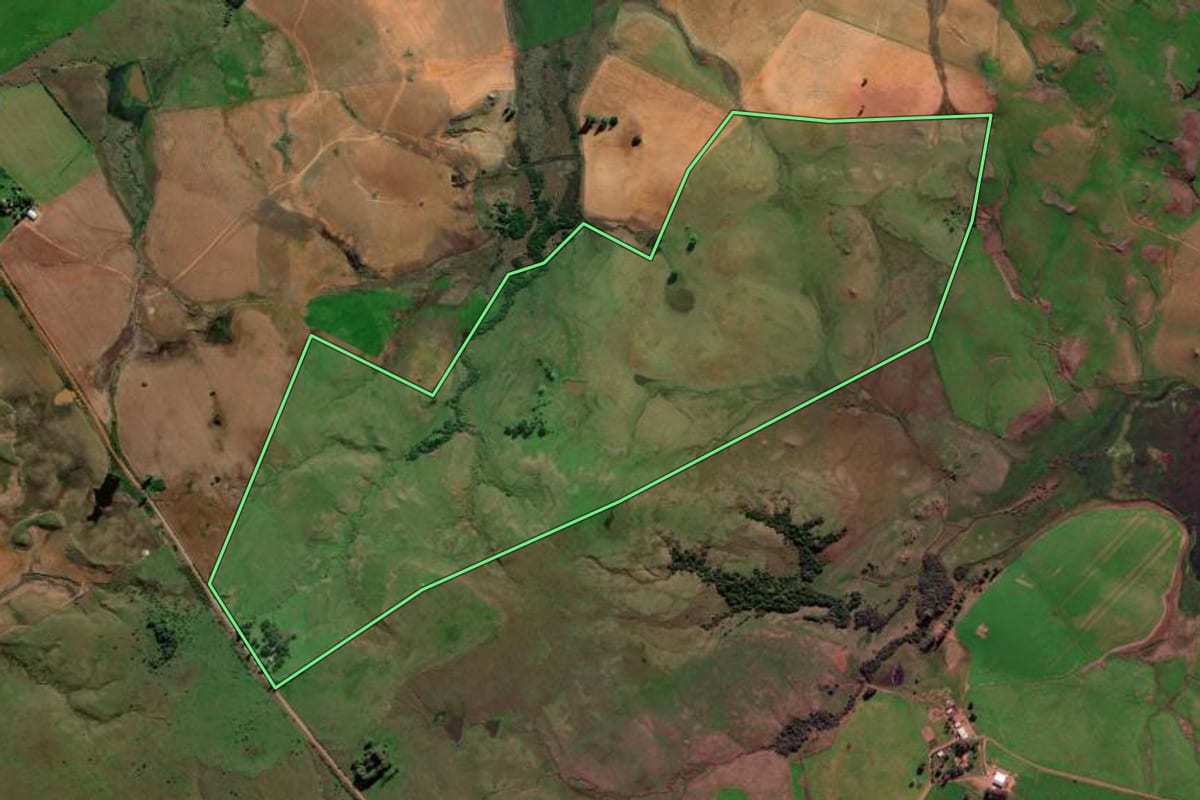 Imagem de satélite do imóvel rural em Alegrete (RS), com o contorno declarado no CAR desenhado por cima.