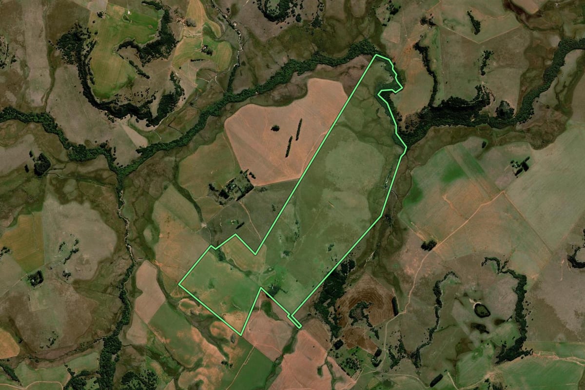 Imagem de satélite do imóvel rural em Alegrete (RS), com o contorno declarado no CAR desenhado por cima.