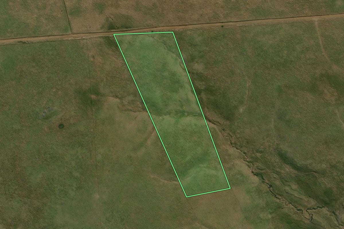Imagem de satélite do imóvel rural em Alegrete (RS), com o contorno declarado no CAR desenhado por cima.