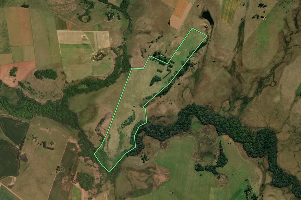 Imagem de satélite do imóvel rural em Alegrete (RS), com o contorno declarado no CAR desenhado por cima.