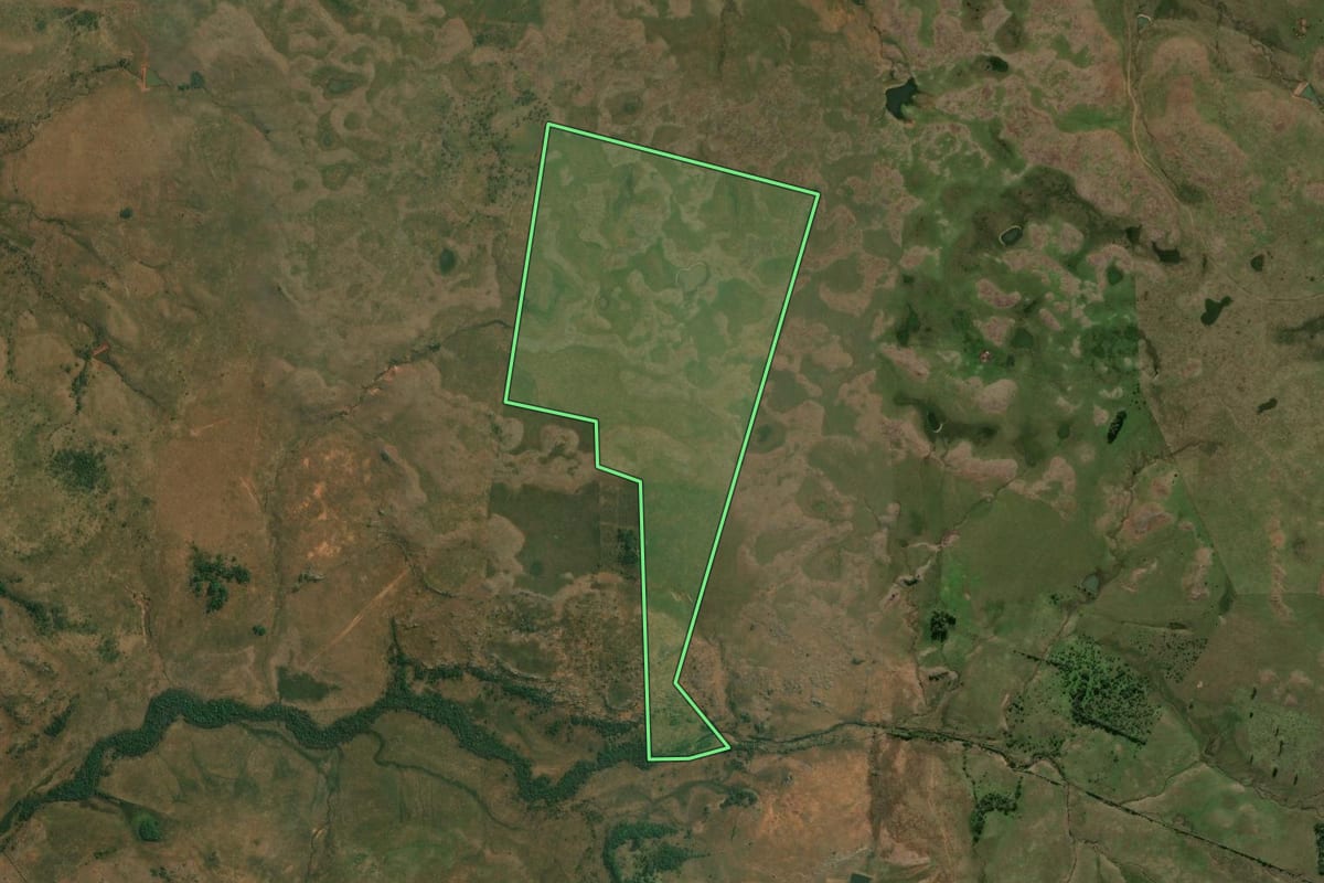 Imagem de satélite do imóvel rural em Alegrete (RS), com o contorno declarado no CAR desenhado por cima.