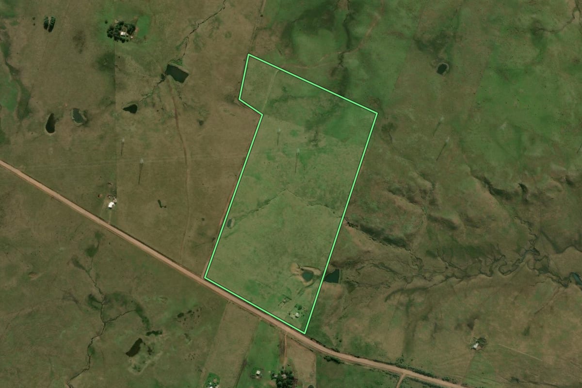 Imagem de satélite do imóvel rural em Alegrete (RS), com o contorno declarado no CAR desenhado por cima.