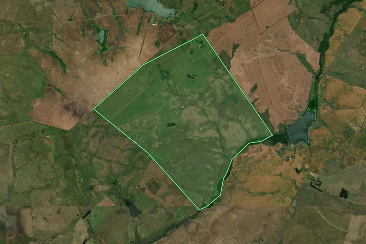 Imagem de satélite do imóvel rural em Alegrete (RS), com o contorno declarado no CAR desenhado por cima.
