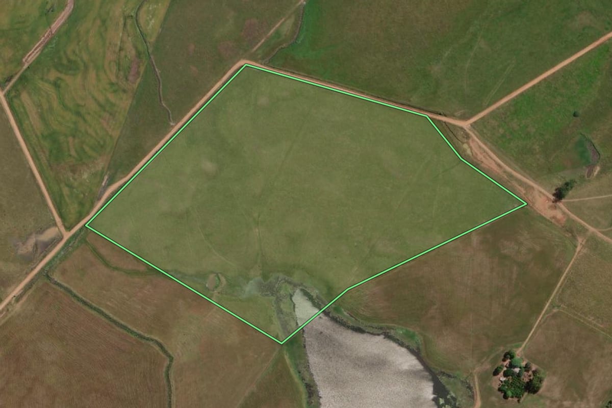 Imagem de satélite do imóvel rural em Alegrete (RS), com o contorno declarado no CAR desenhado por cima.