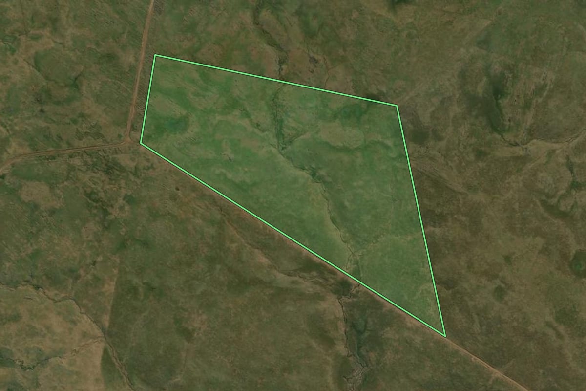 Imagem de satélite do imóvel rural em Alegrete (RS), com o contorno declarado no CAR desenhado por cima.