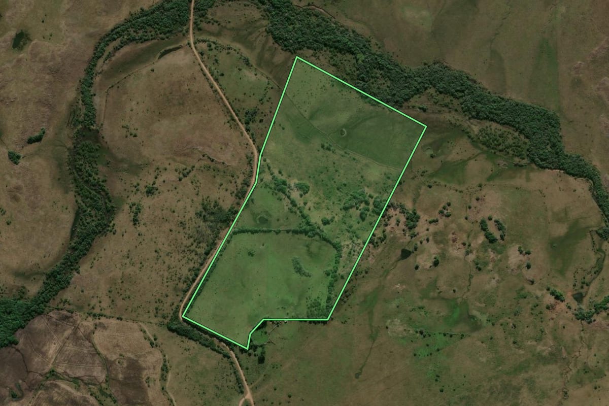 Imagem de satélite do imóvel rural em Alegrete (RS), com o contorno declarado no CAR desenhado por cima.