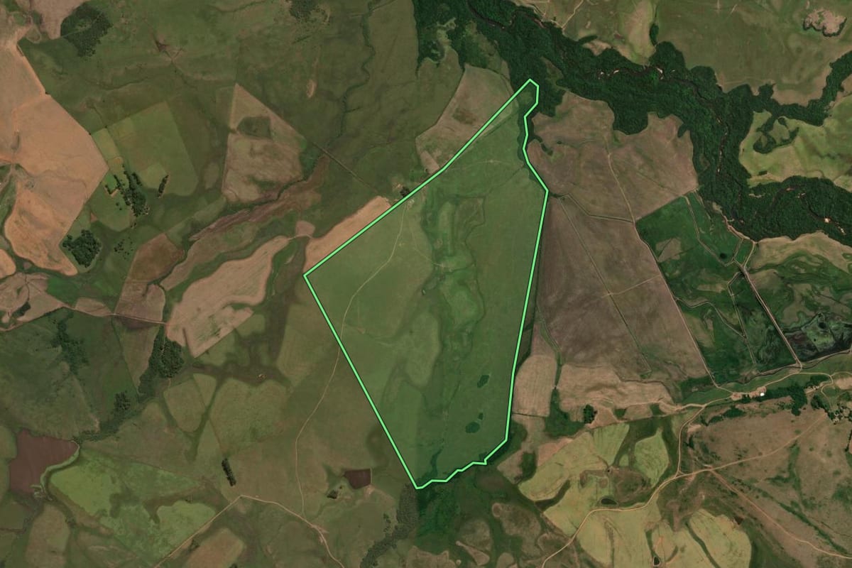 Imagem de satélite do imóvel rural em Alegrete (RS), com o contorno declarado no CAR desenhado por cima.